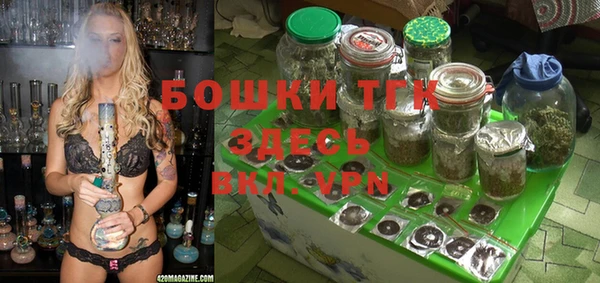 первитин Гусь-Хрустальный
